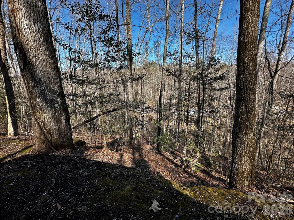 Lot 11 Blue Mist Mountain Road Whittier, NC 28789