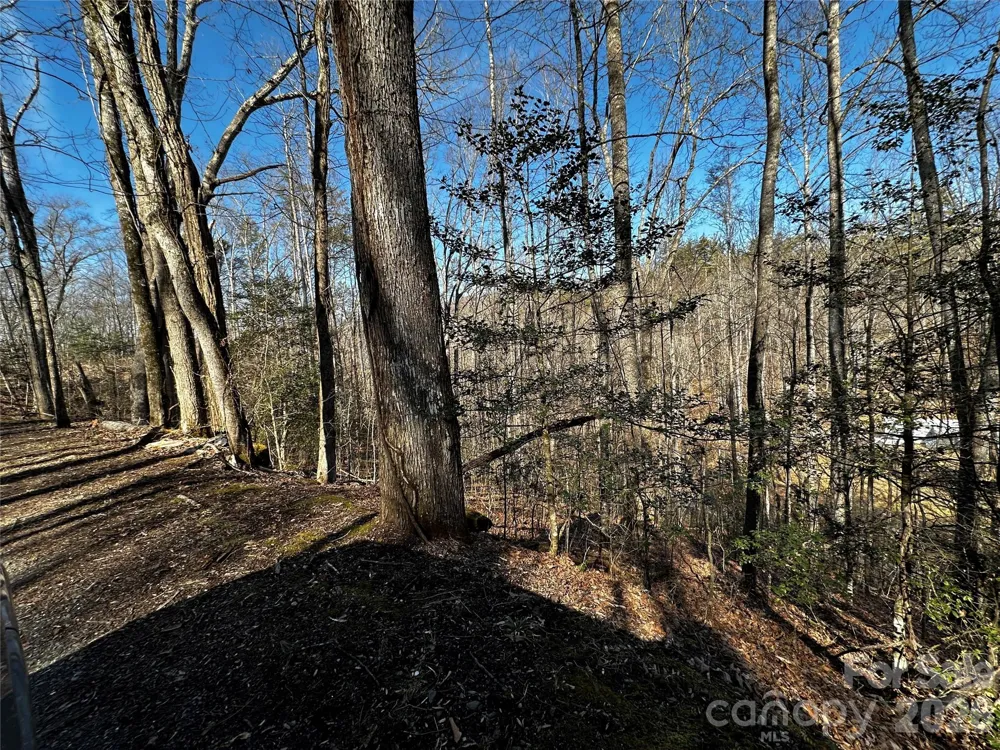 Lot 11 Blue Mist Mountain Road Whittier, NC 28789