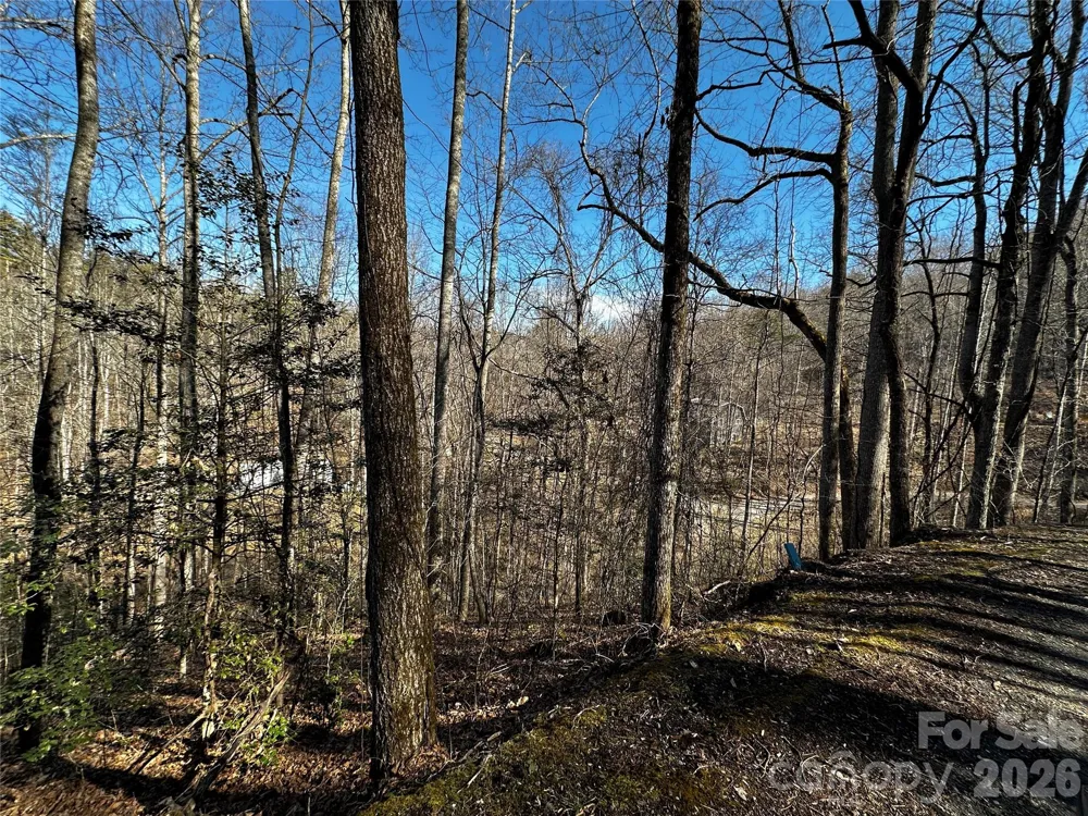 Lot 11 Blue Mist Mountain Road Whittier, NC 28789