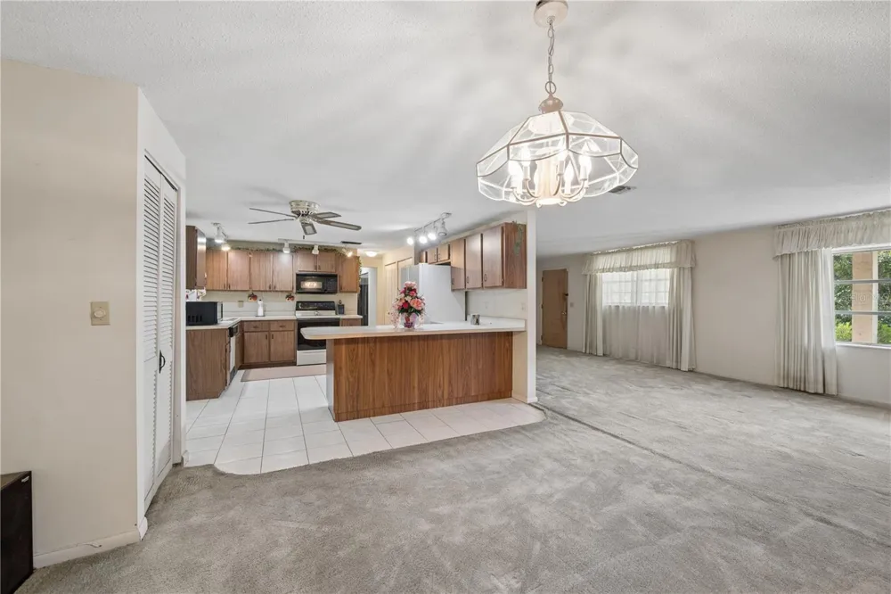 15851 NE 15TH STREET Williston, FL 32696