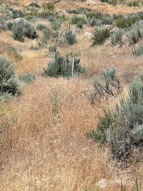 37 Osprey Nest Road Pateros, WA 98846