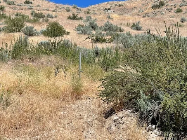 37 Osprey Nest Road Pateros, WA 98846
