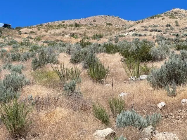 37 Osprey Nest Road Pateros, WA 98846