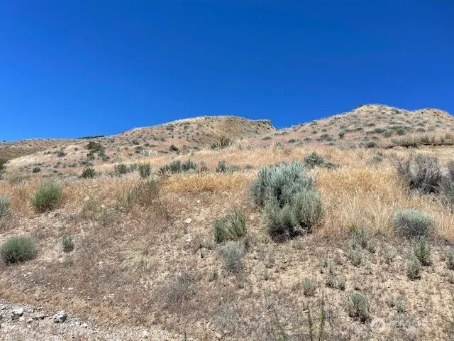 37 Osprey Nest Road Pateros, WA 98846
