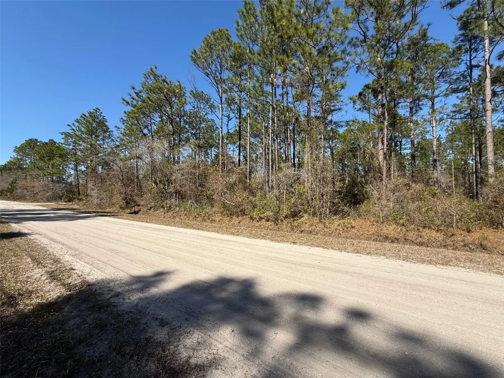 4664 CLOVE AVENUE Bunnell, FL 32110