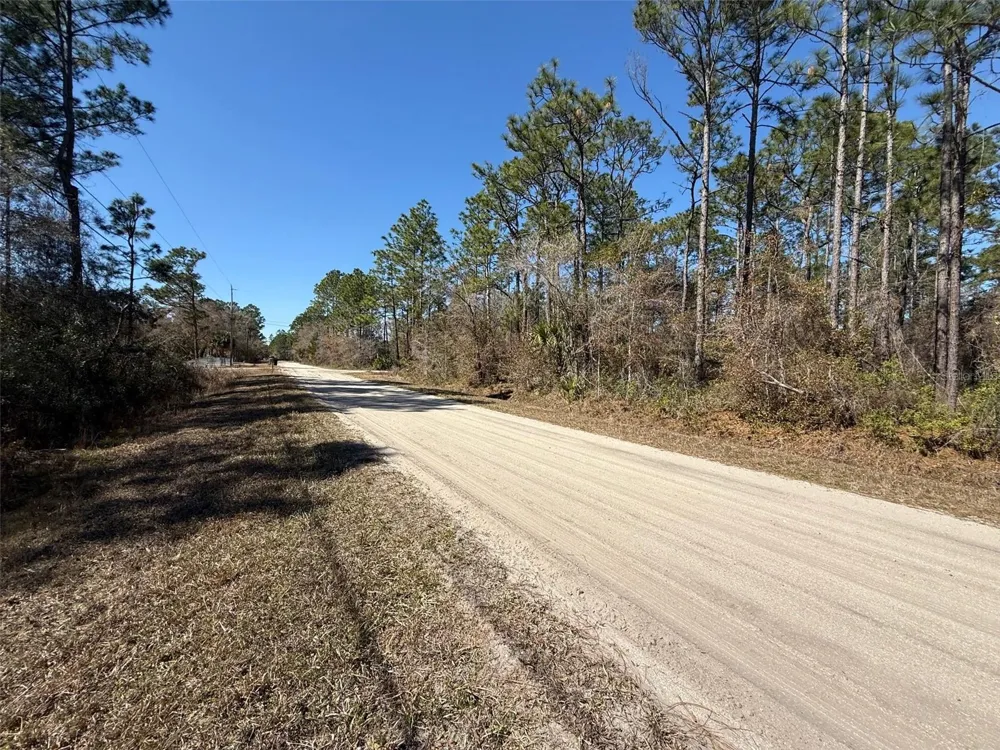 4664 CLOVE AVENUE Bunnell, FL 32110