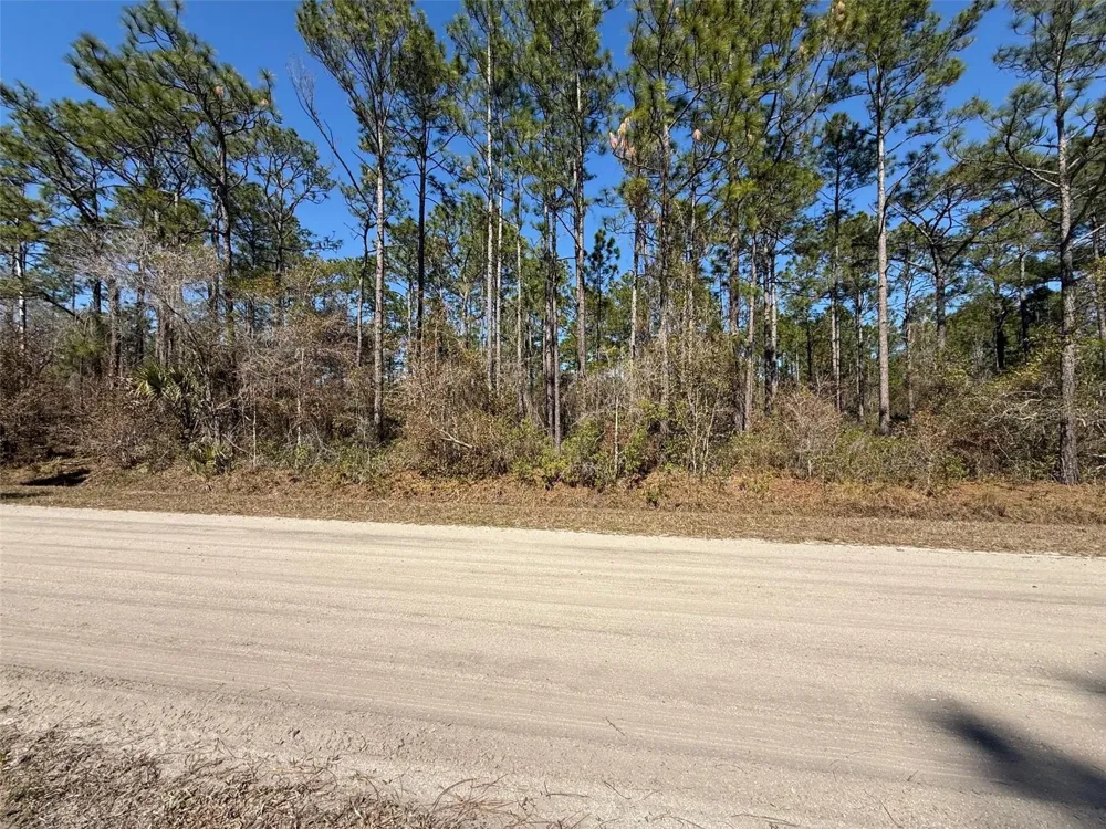 4664 CLOVE AVENUE Bunnell, FL 32110