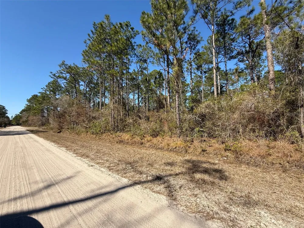 4664 CLOVE AVENUE Bunnell, FL 32110