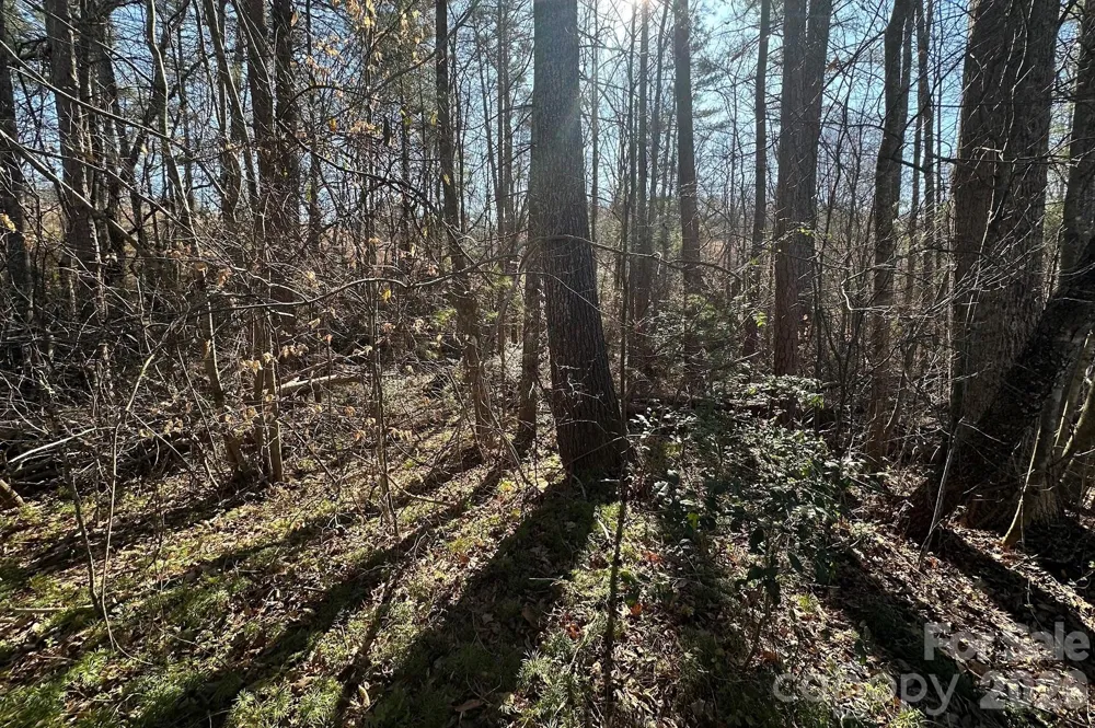 0 Clarence Towery Circle Hildebran, NC 28637