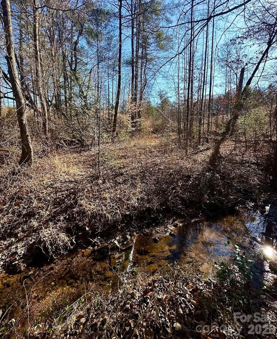 0 Clarence Towery Circle Hildebran, NC 28637