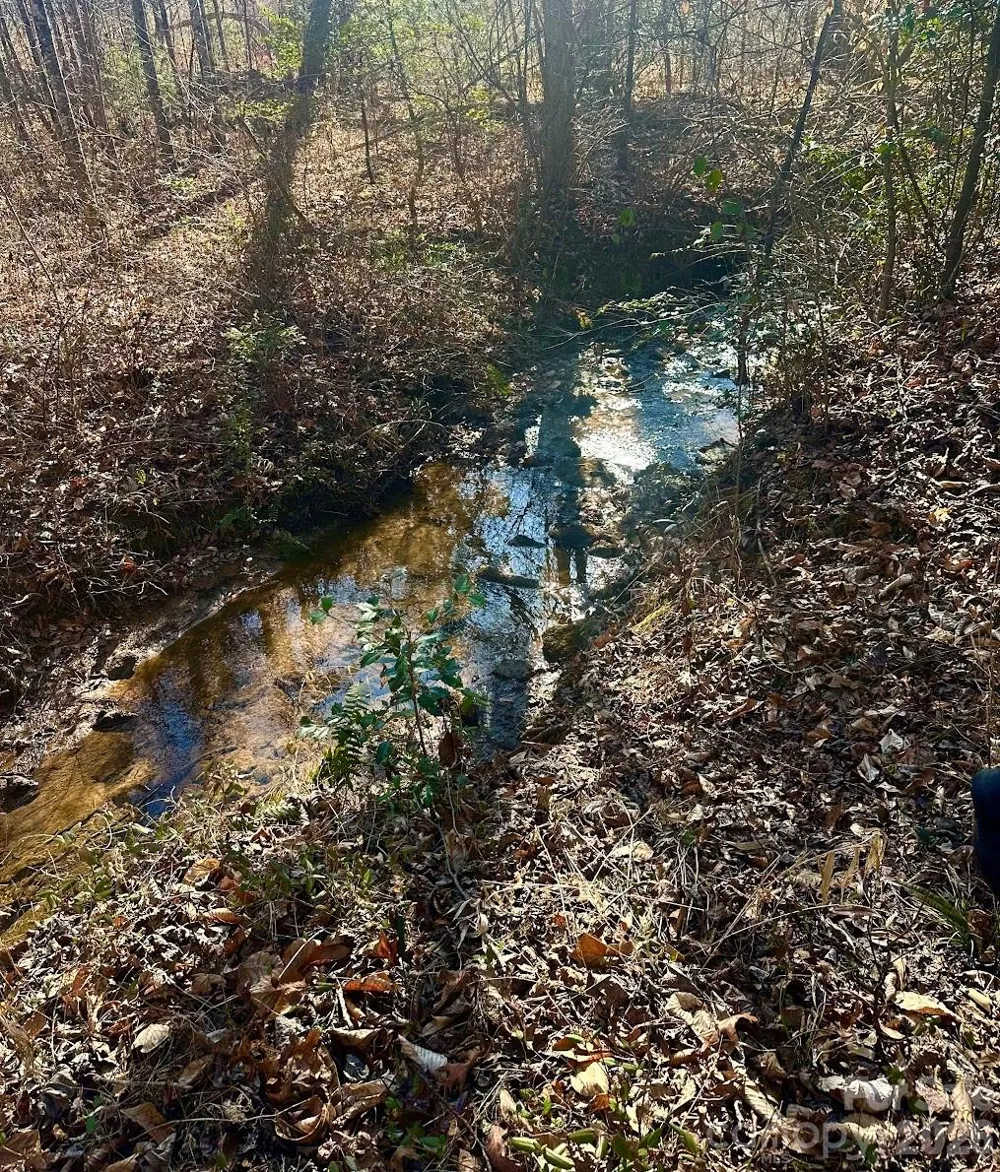 0 Clarence Towery Circle Hildebran, NC 28637