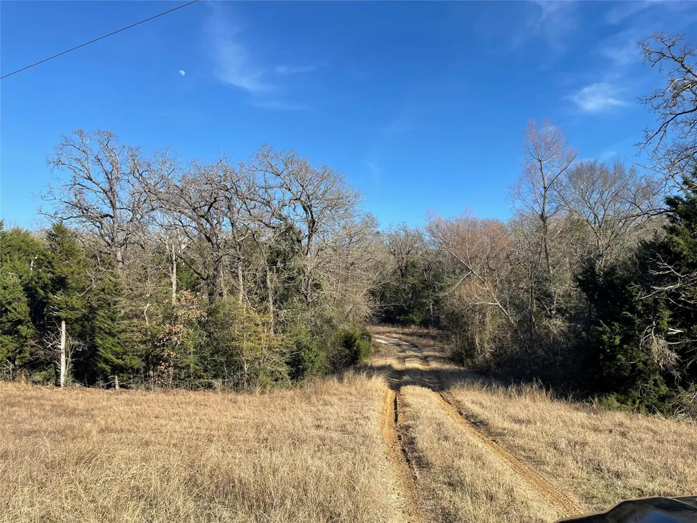 Fm 553 Teague, TX 75860