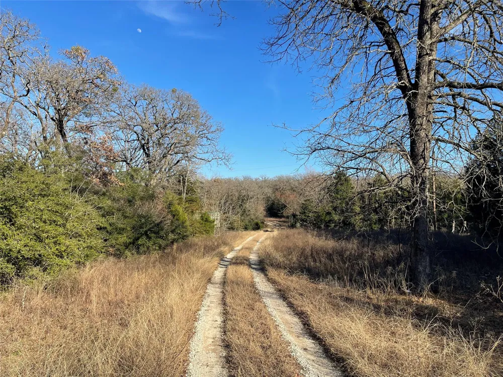 Fm 553 Teague, TX 75860