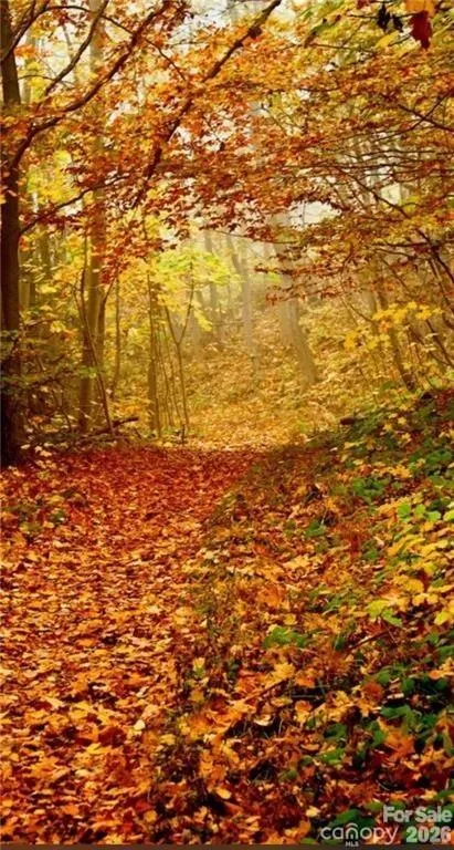 Lot E6 Unula Loop #E6 Maggie Valley, NC 28751