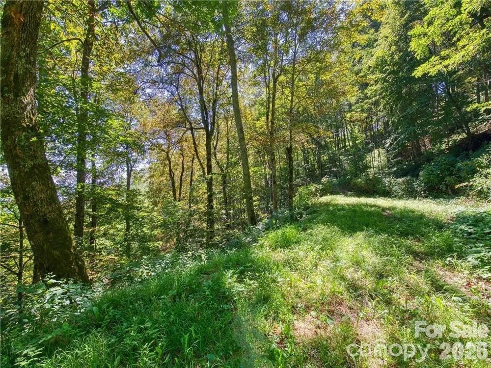 Lot E6 Unula Loop #E6 Maggie Valley, NC 28751