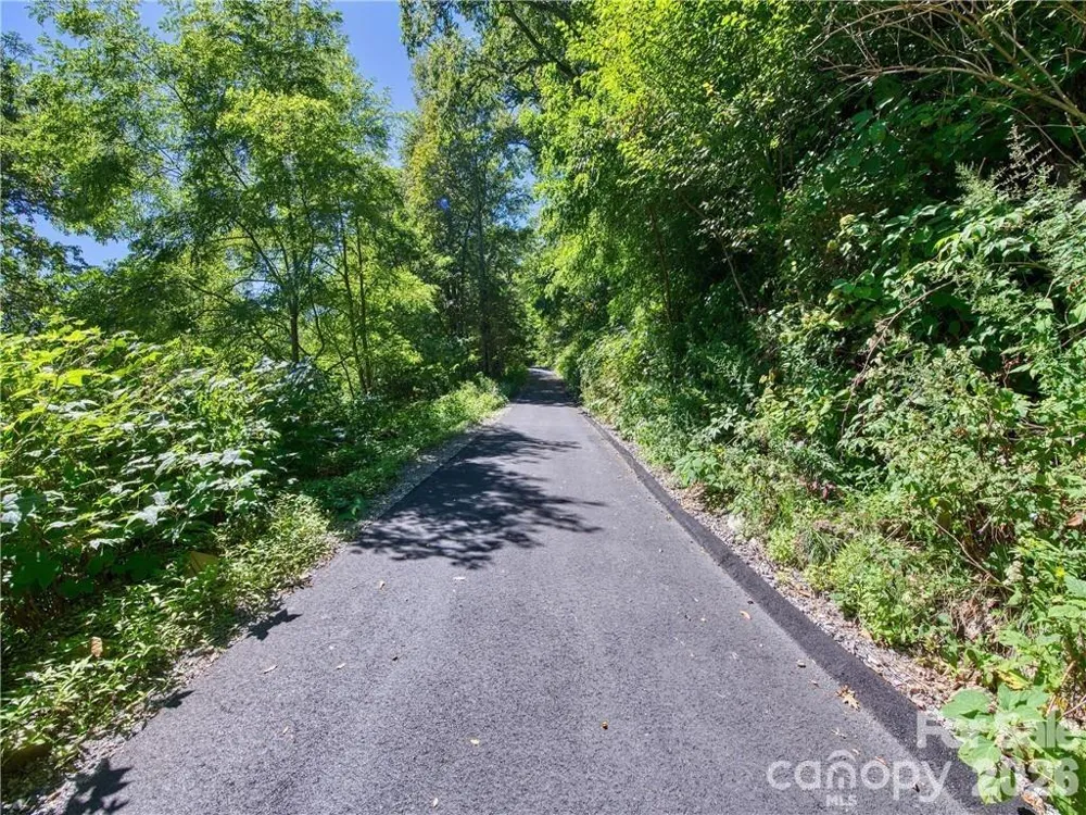 Lot E6 Unula Loop #E6 Maggie Valley, NC 28751