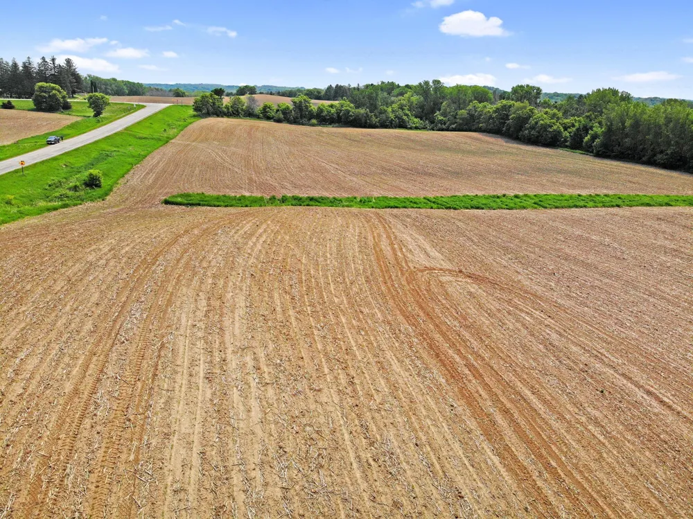 TBD State Highway 57 West Concord, MN 55985
