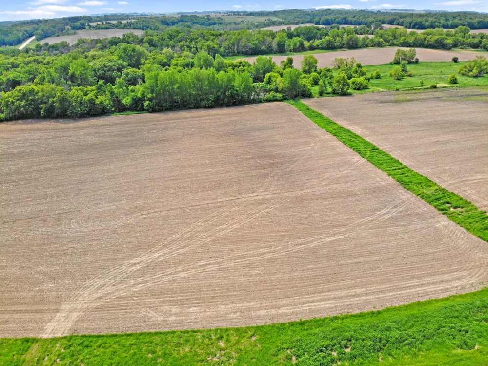 TBD State Highway 57 West Concord, MN 55985