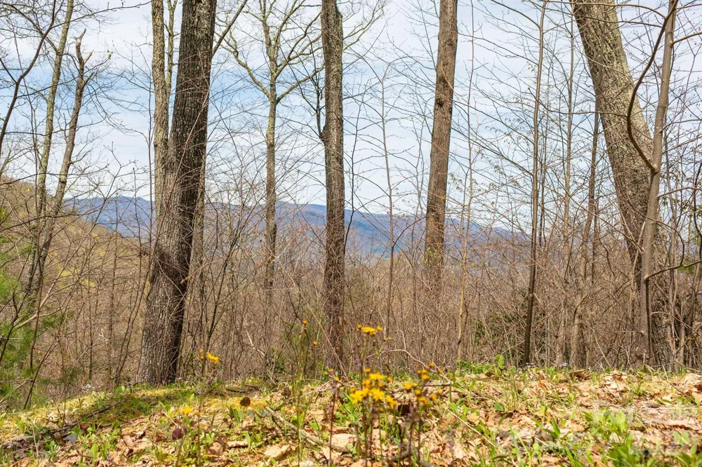 Lot 2 Heritage Ridge Loop Burnsville, NC 28714
