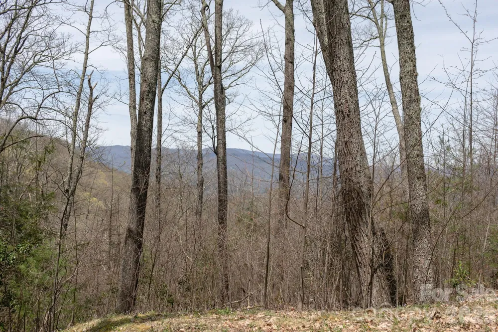 Lot 2 Heritage Ridge Loop Burnsville, NC 28714