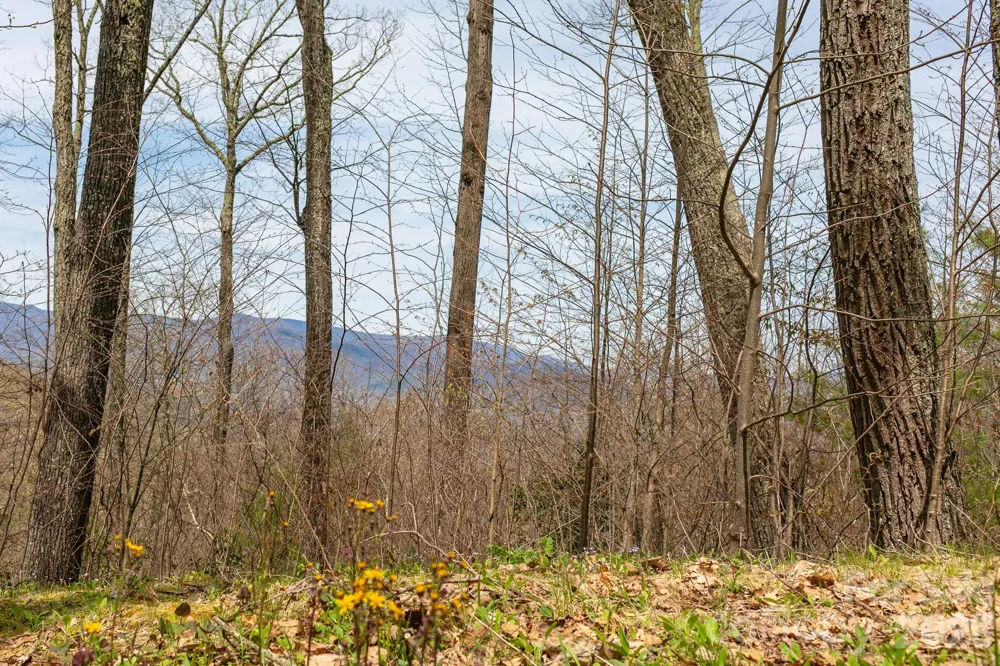 Lot 2 Heritage Ridge Loop Burnsville, NC 28714