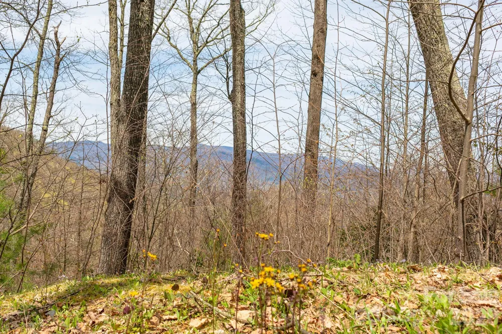Lot 2 Heritage Ridge Loop Burnsville, NC 28714