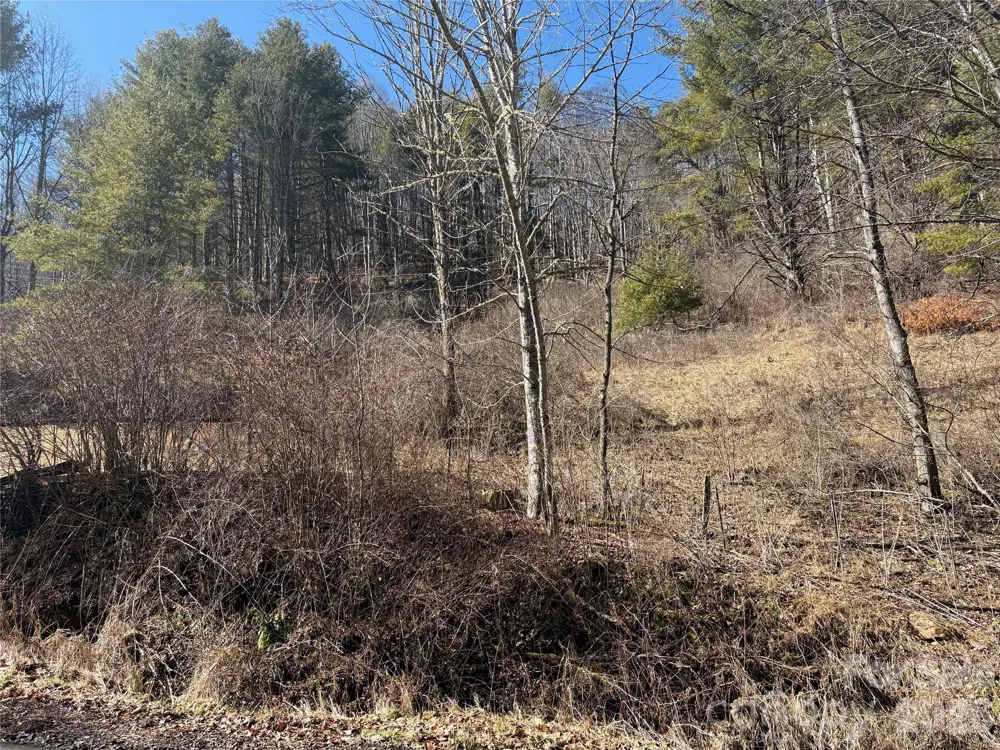 9999 Bee Log Road Burnsville, NC 28714