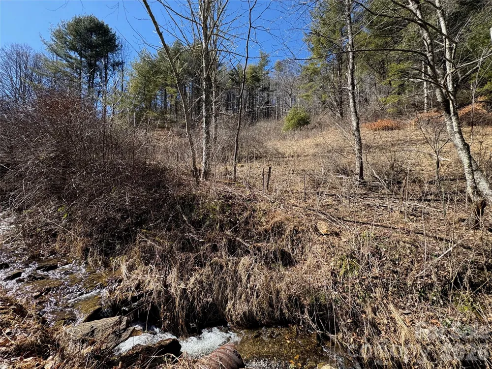 9999 Bee Log Road Burnsville, NC 28714