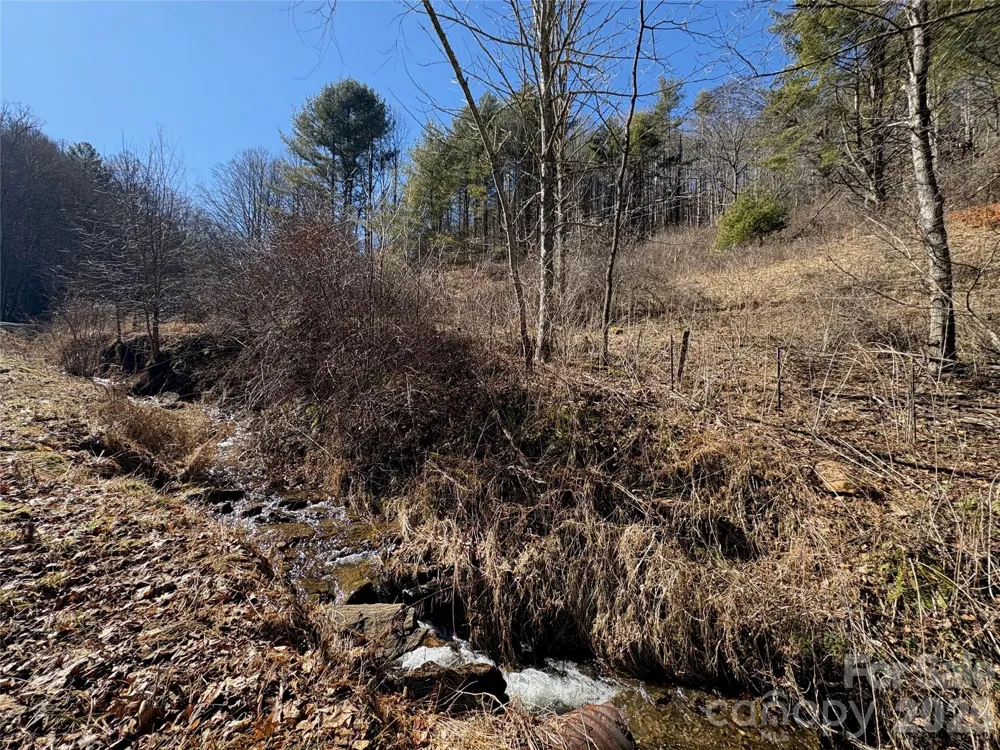 9999 Bee Log Road Burnsville, NC 28714