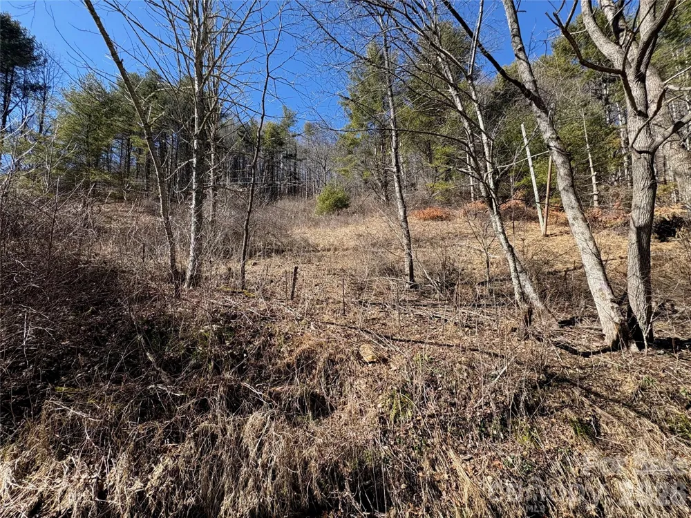 9999 Bee Log Road Burnsville, NC 28714