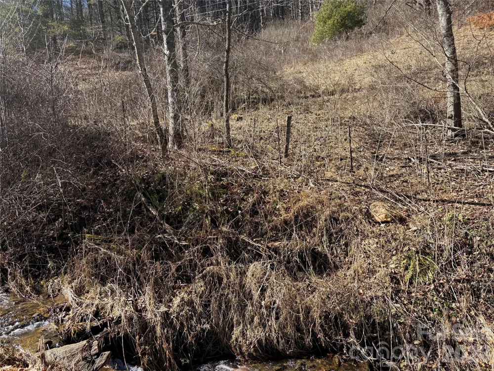 9999 Bee Log Road Burnsville, NC 28714