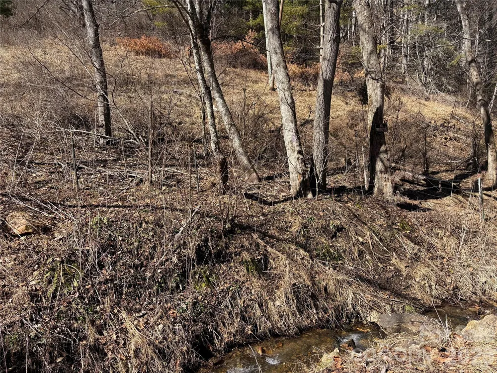 9999 Bee Log Road Burnsville, NC 28714
