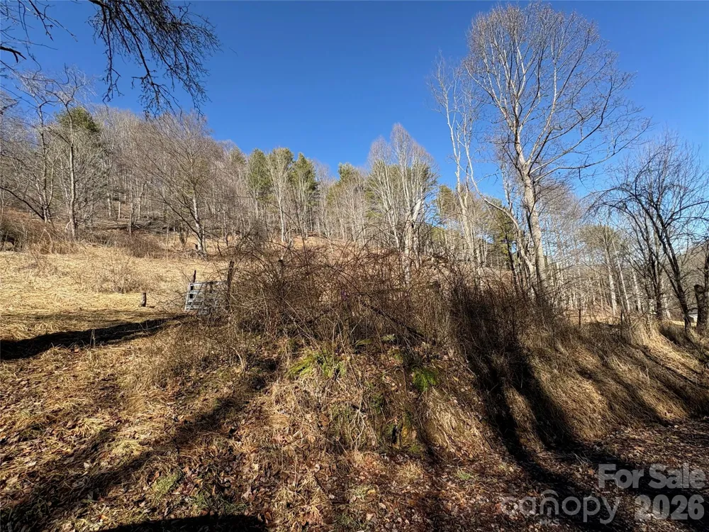 9999 Bee Log Road Burnsville, NC 28714