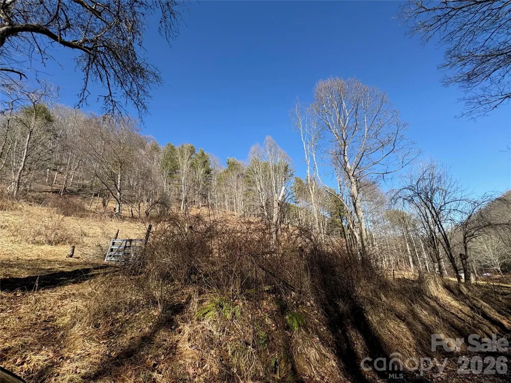 9999 Bee Log Road Burnsville, NC 28714