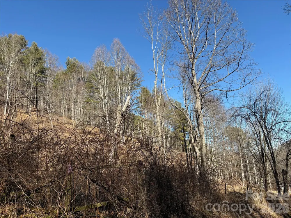 9999 Bee Log Road Burnsville, NC 28714