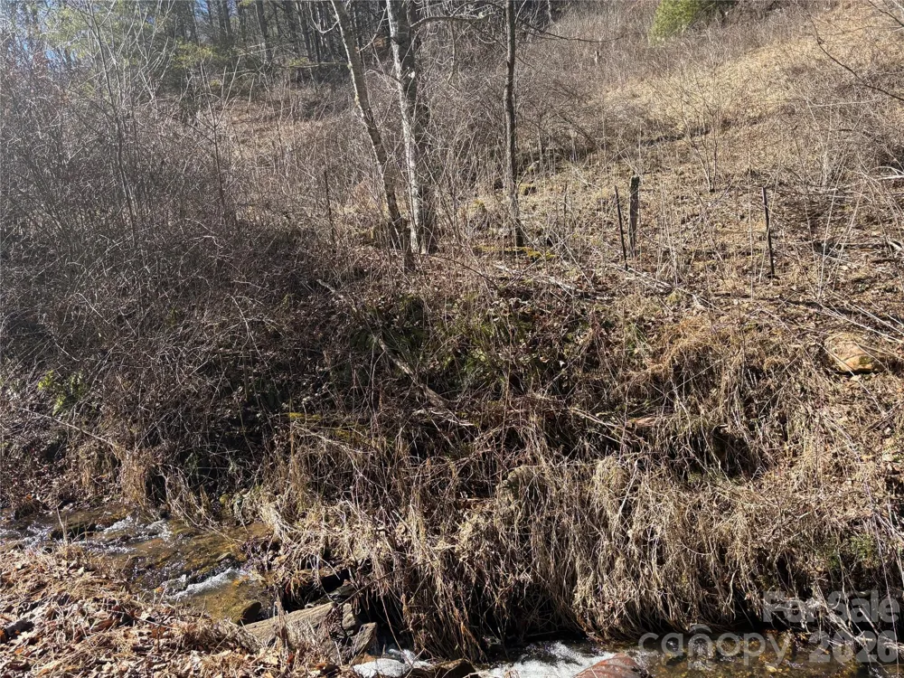 9999 Bee Log Road Burnsville, NC 28714