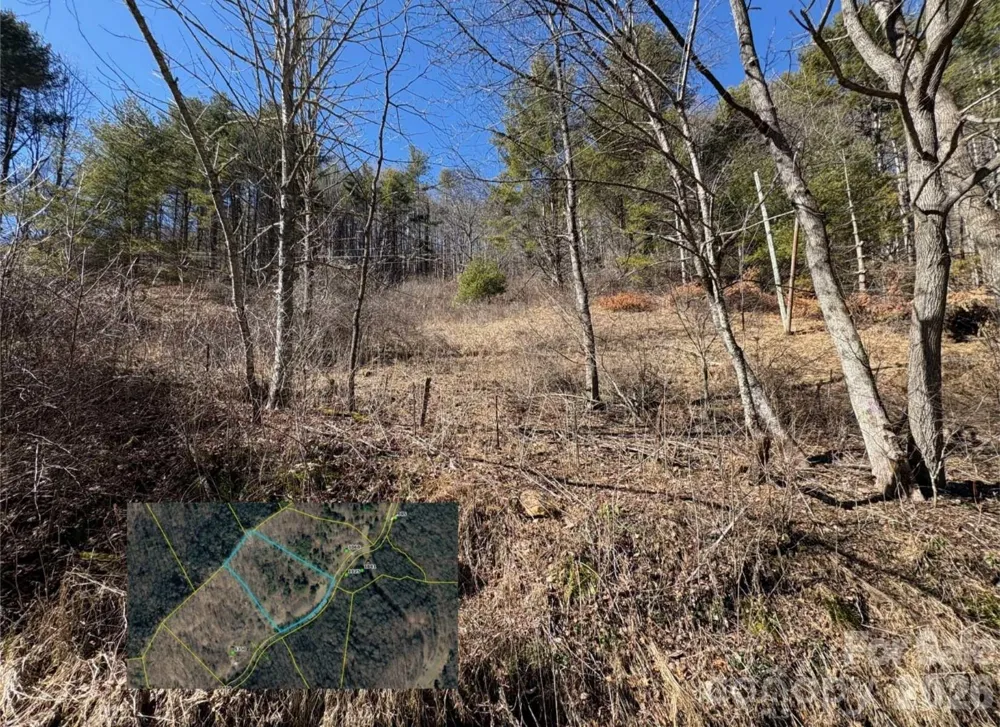 9999 Bee Log Road Burnsville, NC 28714