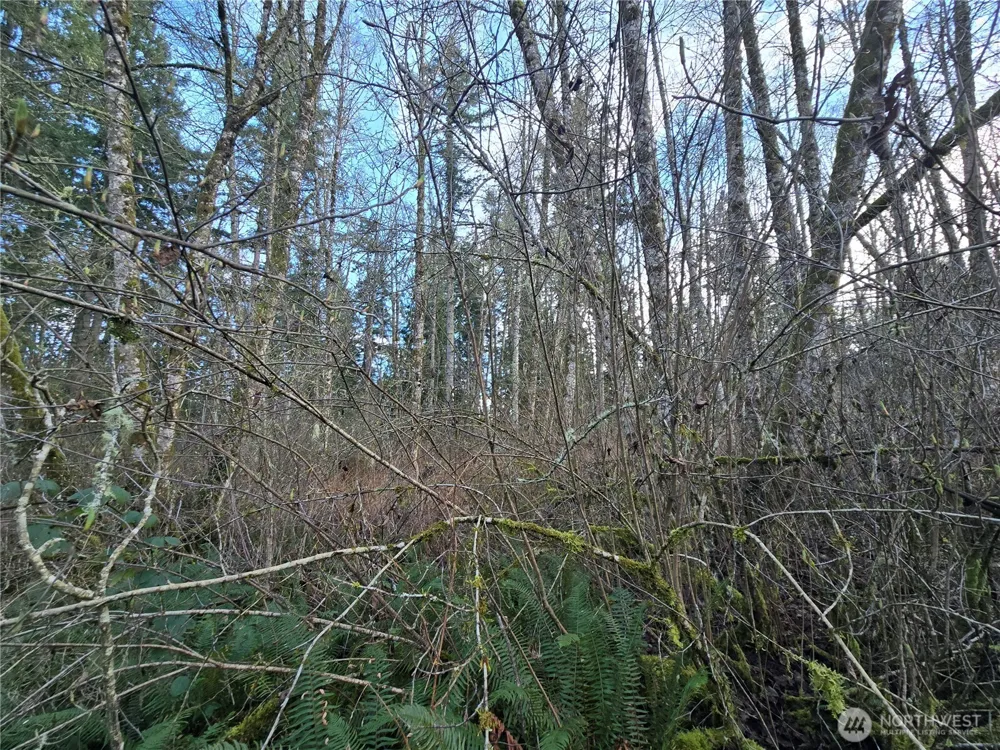233 XX State Highway 3 NW Poulsbo, WA 98370