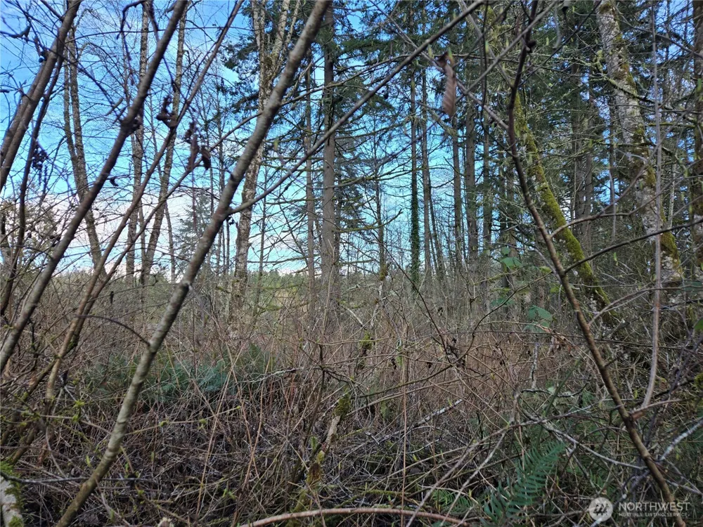 233 XX State Highway 3 NW Poulsbo, WA 98370