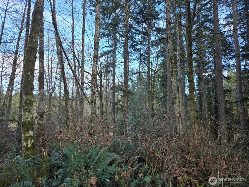 233 XX State Highway 3 NW Poulsbo, WA 98370