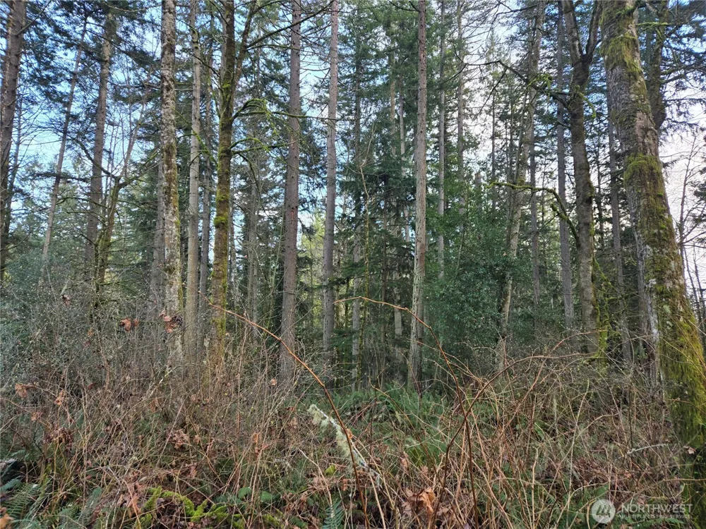 233 XX State Highway 3 NW Poulsbo, WA 98370