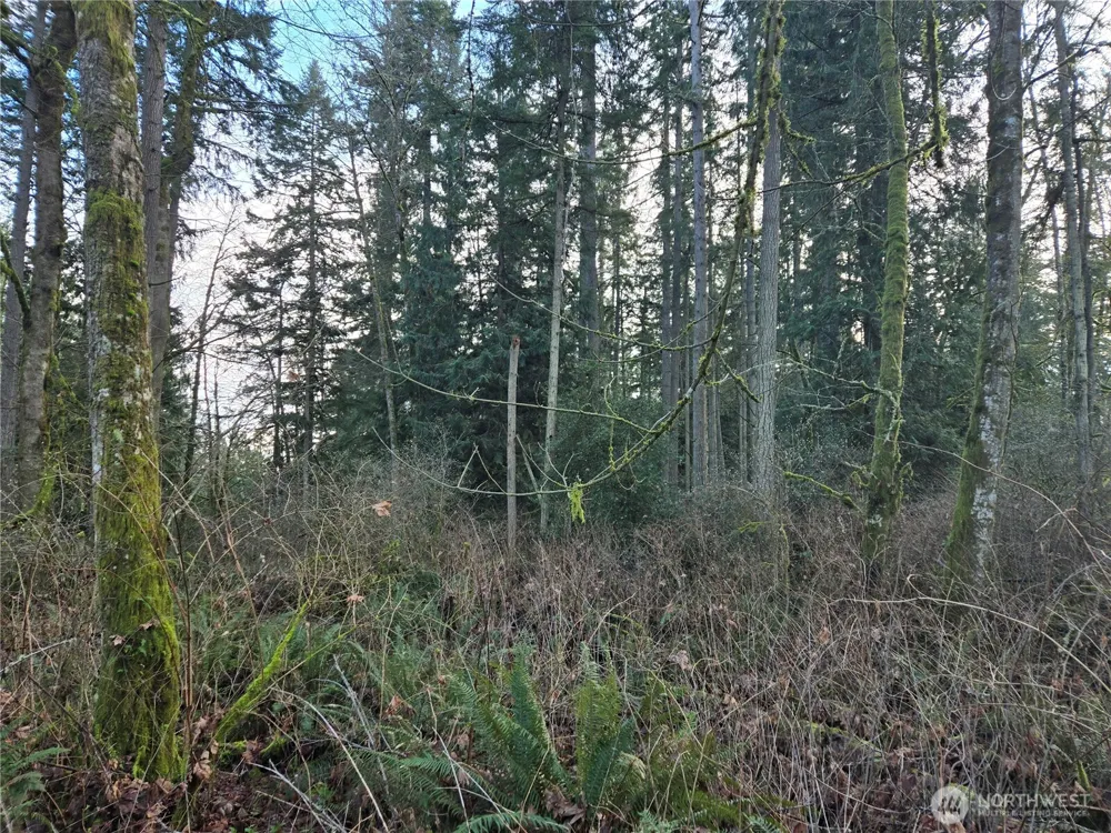 233 XX State Highway 3 NW Poulsbo, WA 98370