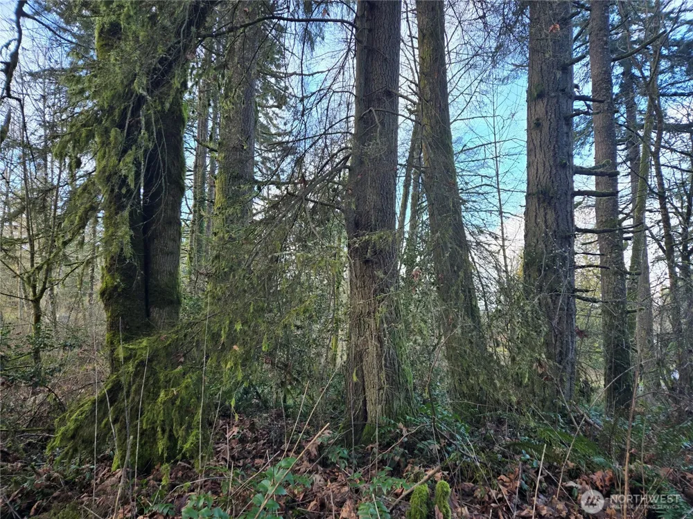 233 XX State Highway 3 NW Poulsbo, WA 98370