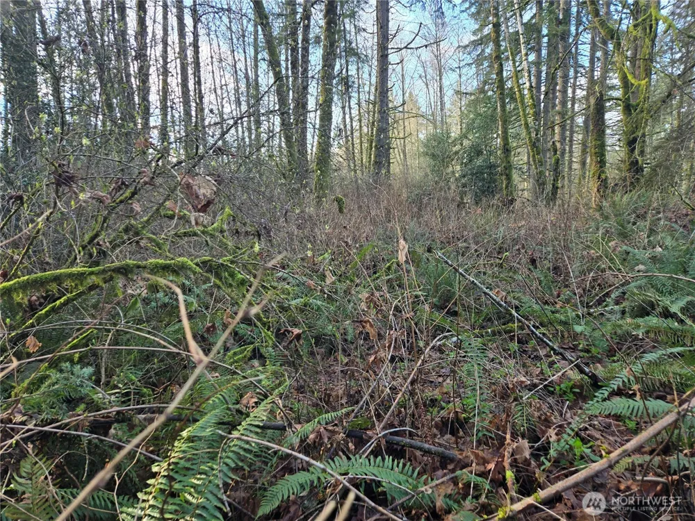 233 XX State Highway 3 NW Poulsbo, WA 98370