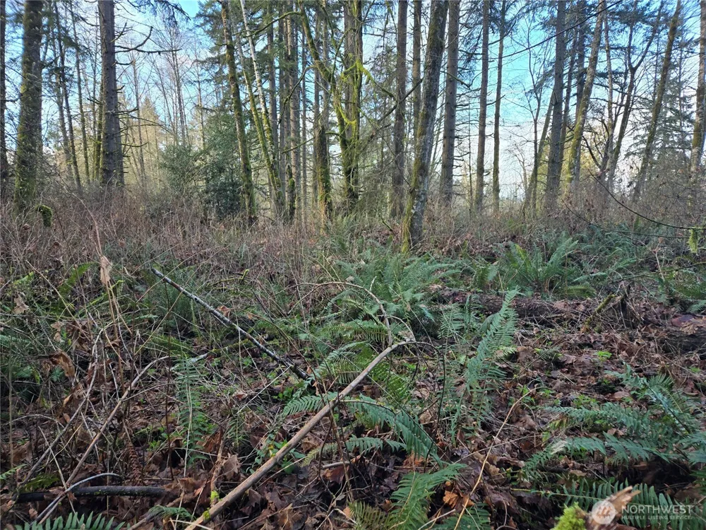 233 XX State Highway 3 NW Poulsbo, WA 98370