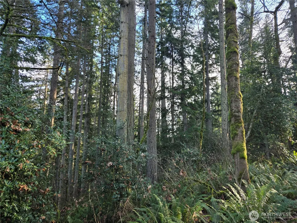 233 XX State Highway 3 NW Poulsbo, WA 98370