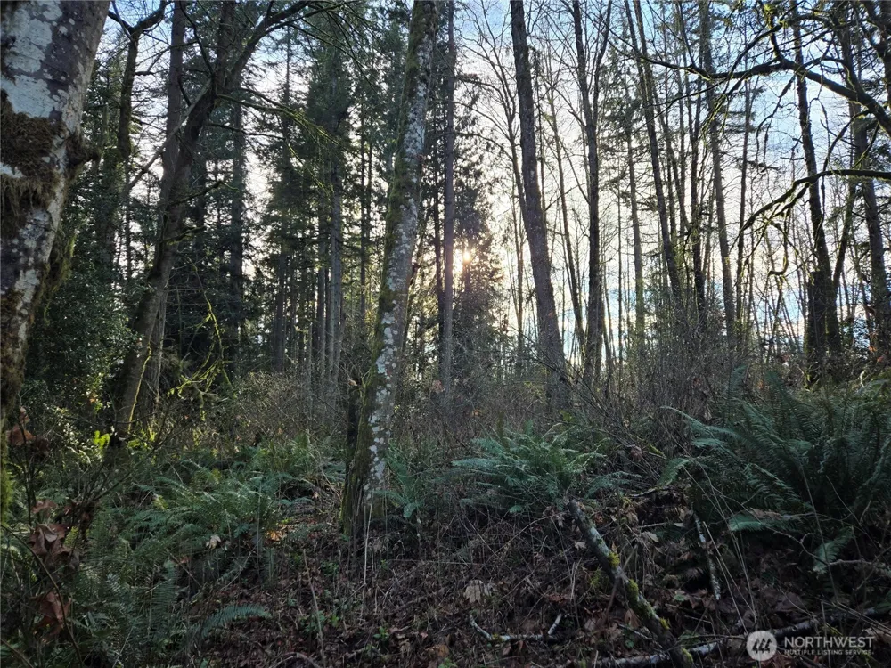 233 XX State Highway 3 NW Poulsbo, WA 98370