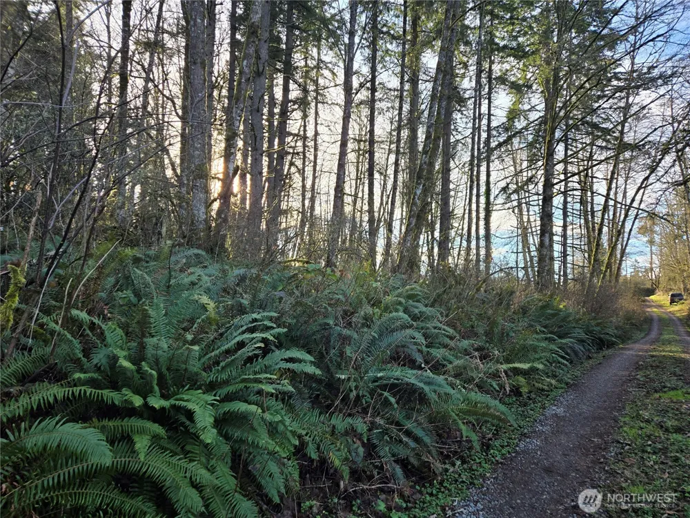 233 XX State Highway 3 NW Poulsbo, WA 98370