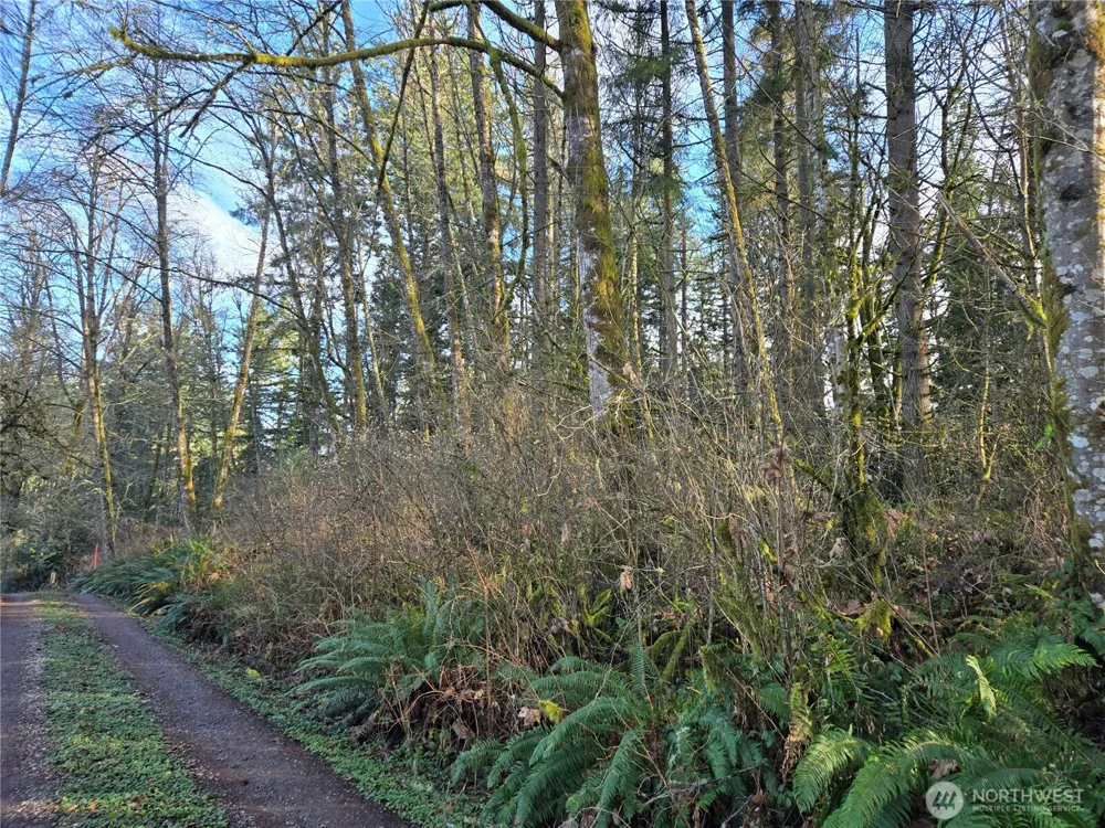 233 XX State Highway 3 NW Poulsbo, WA 98370