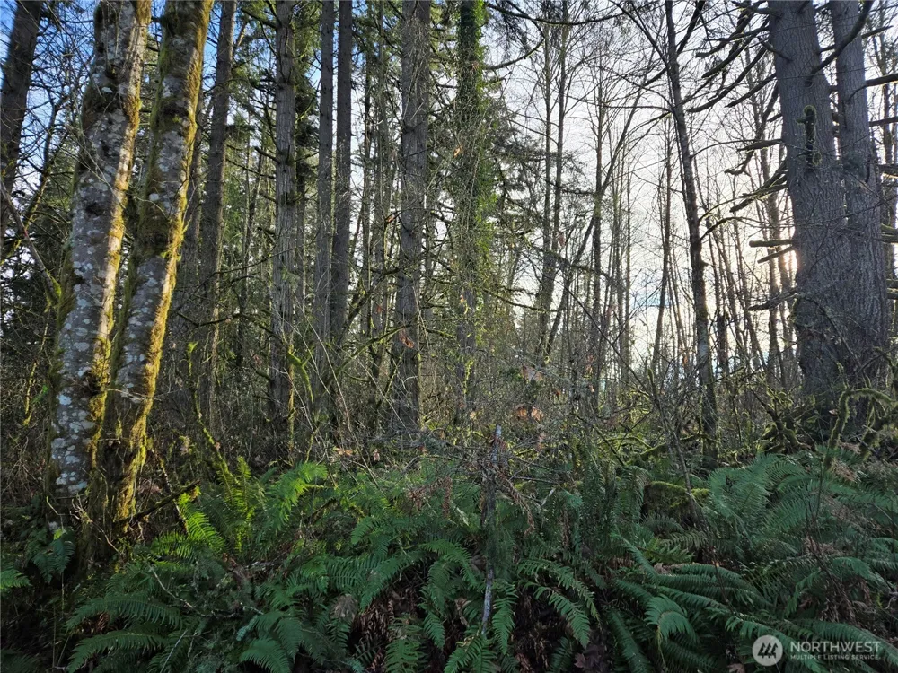 233 XX State Highway 3 NW Poulsbo, WA 98370